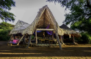Entrance, Elephant Watch Camp, Samburu National Park, Kenya