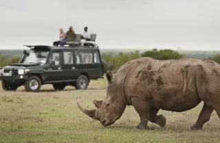 Rhino game drives in Laikipia, Kenya safaris