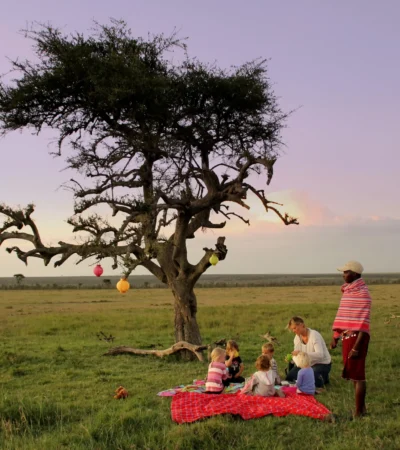 Kids Bush picnic family experience