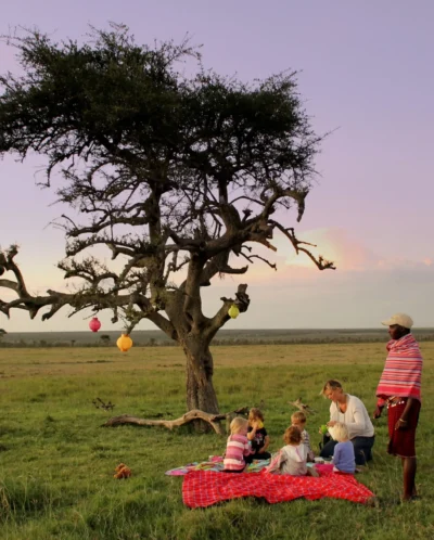 Kids Bush picnic family experience