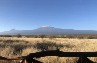 Satao 2 best views kenya yellow zebra safaris