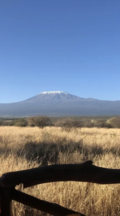 Satao 2 best views kenya yellow zebra safaris