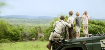children on a game drive, ultimate south africa family safari
