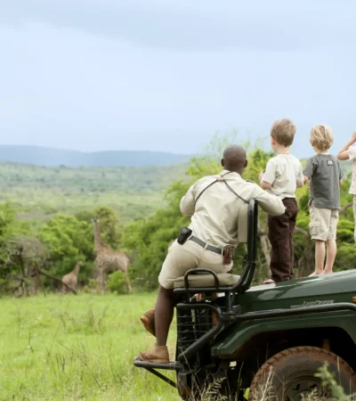 children on a game drive, ultimate south africa family safari