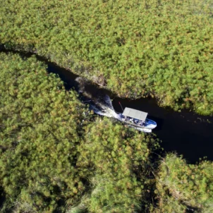 Boat cruise activity, &Beyond Nxabega Okavango Tented Camp, Botswana