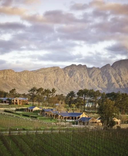 la residence estate, winelands, south africa safaris