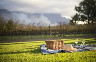 picnic in the winelands, south africa safari holidays