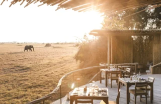 Deck set for mealtime in the foreground whilst an elephant walks in the background, Mombo, Moremi Game Reserve, Botswana - Yellow Zebra Safari