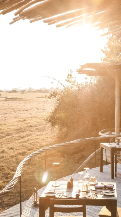 Deck set for mealtime in the foreground whilst an elephant walks in the background, Mombo, Moremi Game Reserve, Botswana - Yellow Zebra Safari