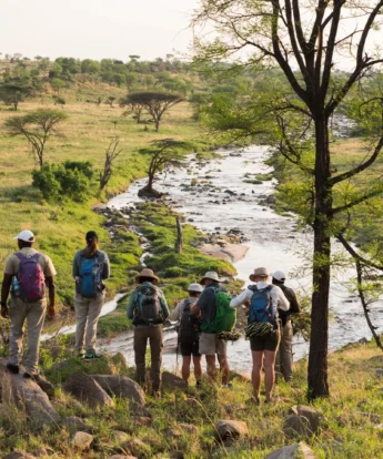 Walking Safaris, Wayo Serengeti Green Camp, Serengeti, Tanzania