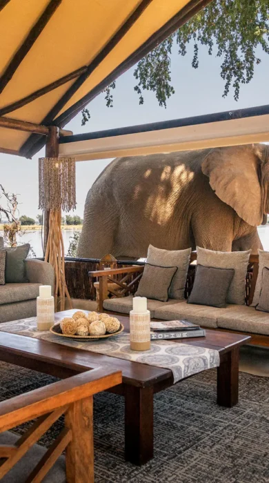 Main lounge and elephant, Old Mondoro, Lower Zambezi, Zambia