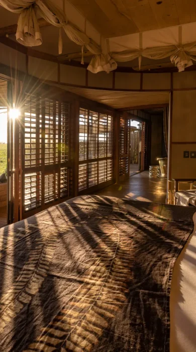 Sun dappled bedroom view which looks out onto the reserve, Mombo, Moremi Game Reserve, Botswana - Yellow Zebra Safari