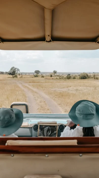 Game Drive, Usawa, The Serengeti, Tanzania