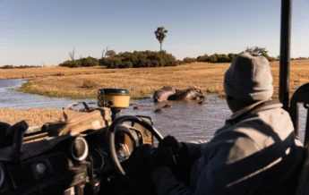 Game Drive, Wilderness Chitabe, Okavango Delta, Botswana