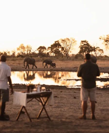 Sundowners, Qorokwe, Okavango Delta, Botswana