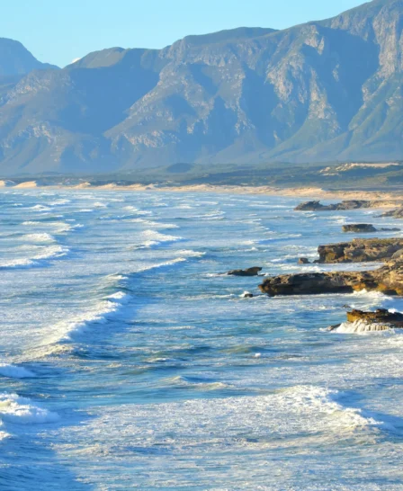 Coast, Hermanus, South Africa
