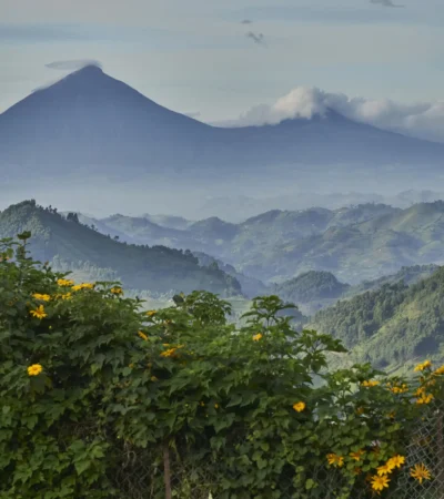 nkuringo bwindi