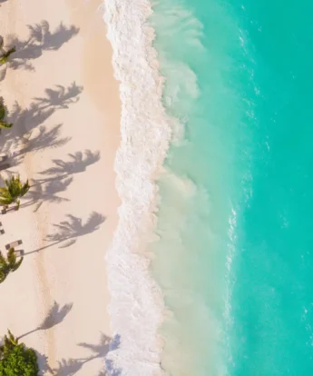 An overhead shot of a white sand beach, lined with palm trees and the turquoise ocean - Yellow Zebra Travel