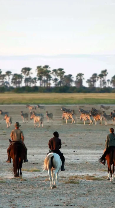 Horse Riding On The Pans, Camp Kalahari