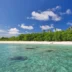 A low shot of clear blue water leading up to white sand beaches and rows of trees, Hirondelle Beach, Seychelles - Yellow Zebra Safari