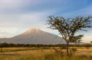 A background view of Kilimanjaro, Tanzania - Yellow Zebra Safaris
