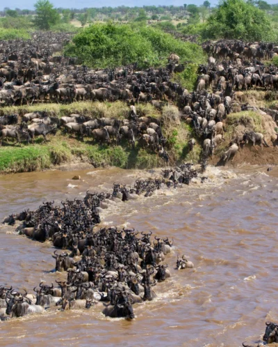 the great migration, september in Tanzania, safari africa