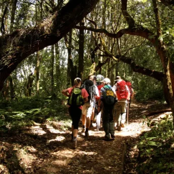 Climbing Kilimanjaro, Experiences, Tanzania
