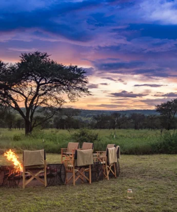 dunia camp sundowners tanzania yellow zebra safaris