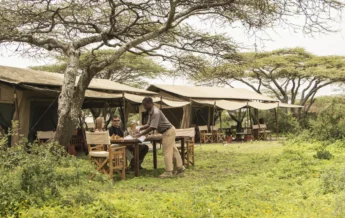 Ubuntu Camp lunch under acacia tree