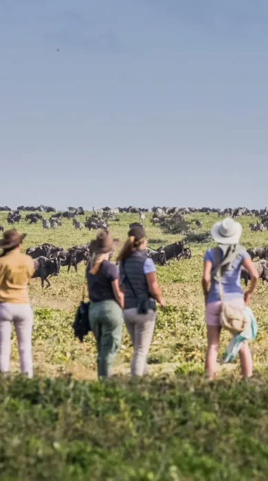 Walking safari experiences in Tanzania