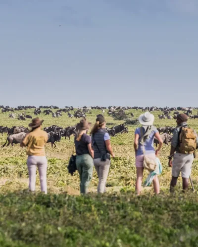 Walking safari experiences in Tanzania