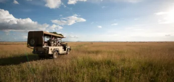Game drives in the Serengeti, Tanzania