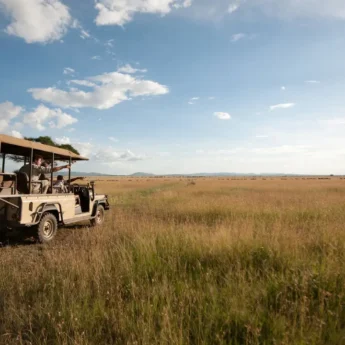 Game drives in the Serengeti, Tanzania