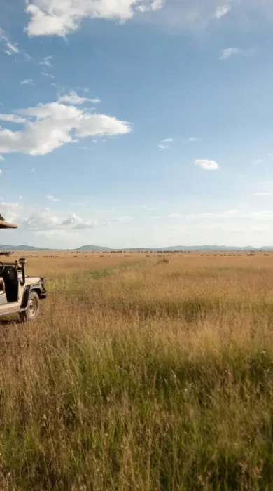 Game drives in the Serengeti, Tanzania