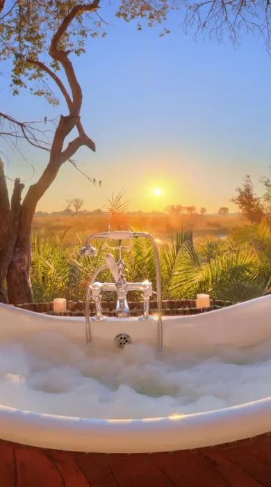 Room with a view - Yellow Zebra Safaris