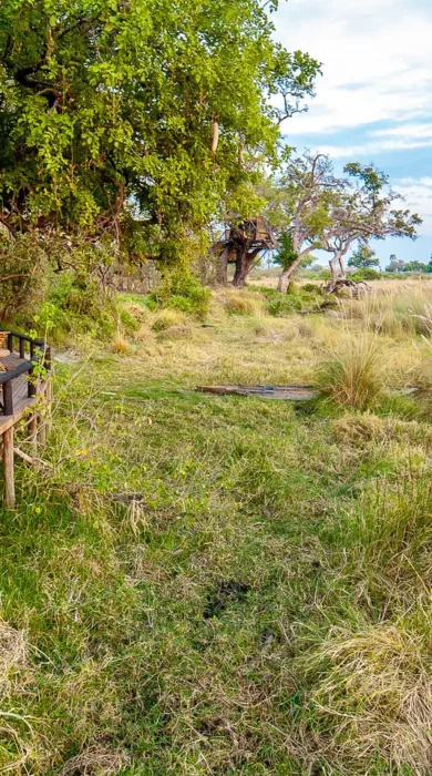Delta Camp - Botwswana - Yellaow Zebra Safaris