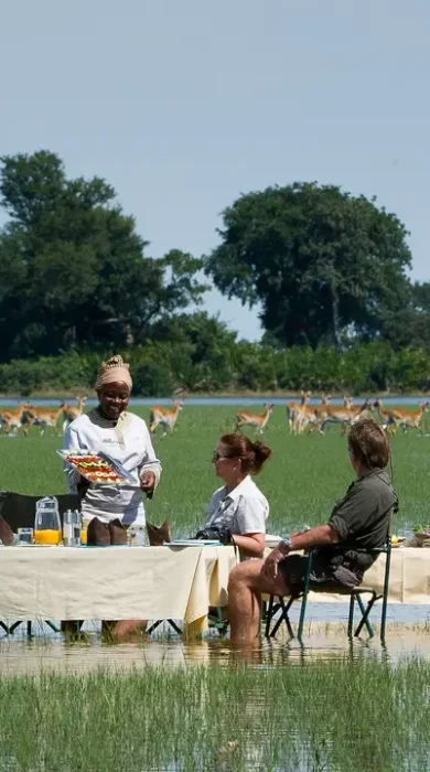 Botswana Safari Experiences - Yellow Zebra
