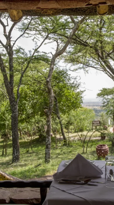 Serena Serengeti dining view