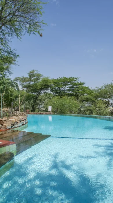 serena serengeti pool vieew
