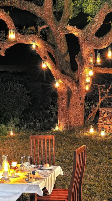 serengeti migration elewana barbecue dinner