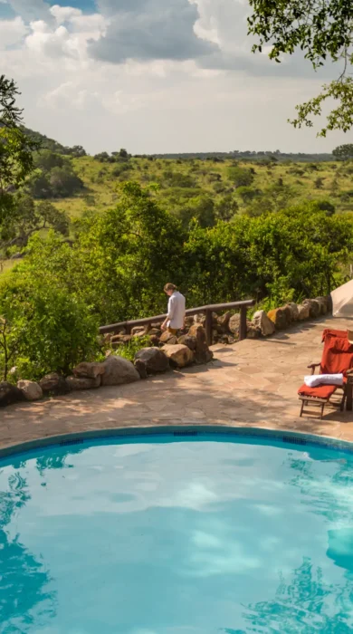 serengeti migration camp pool tanzania yellow zebra safaris