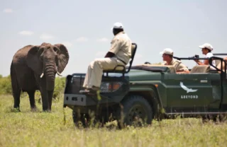 Ngala Safari South Africa