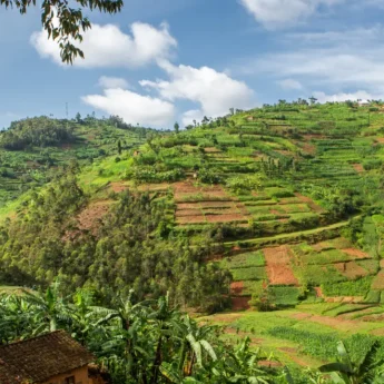 Tiered farm land, Volcanoes National Park, Rwanda - Yellow Zebra Safaris