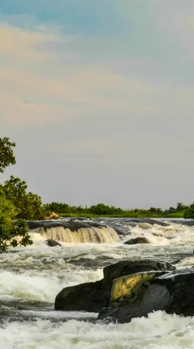 Rapids - Uganda
