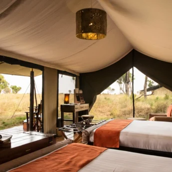 room view, lemala ndutu, the serengeti, tanzania