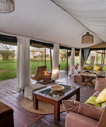 main area, lemala ewanjan camp, the serengeti, tanzania