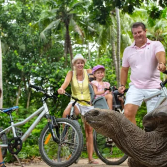 Tortoise-Feeding-Seychelles