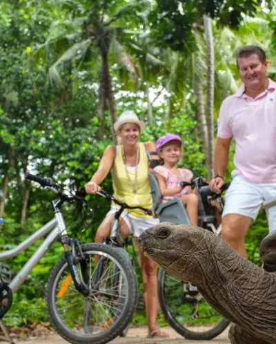 Tortoise-Feeding-Seychelles