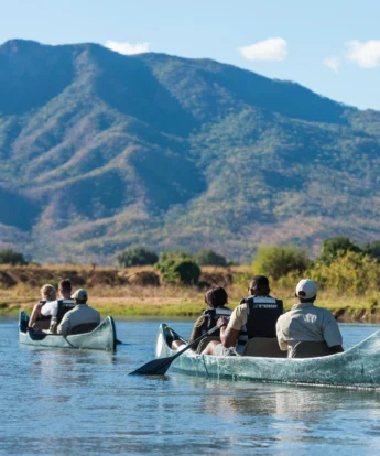 Two groups canoeing across water towards a looming mountain in the background, Royal Zambezi, Zambia - Yellow Zebra Safari