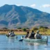 Two groups canoeing across water towards a looming mountain in the background, Royal Zambezi, Zambia - Yellow Zebra Safari